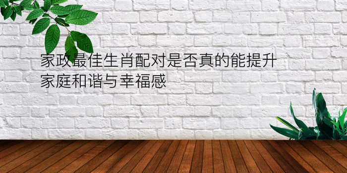 家政最佳生肖配对是否真的能提升家庭和谐与幸福感