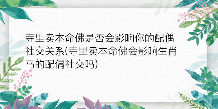 今年生肖犯太岁游戏截图