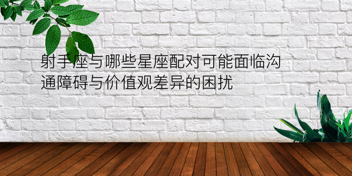 射手座与哪些星座配对可能面临沟通障碍与价值观差异的困扰