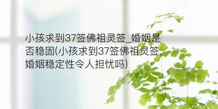 吕祖灵签24游戏截图