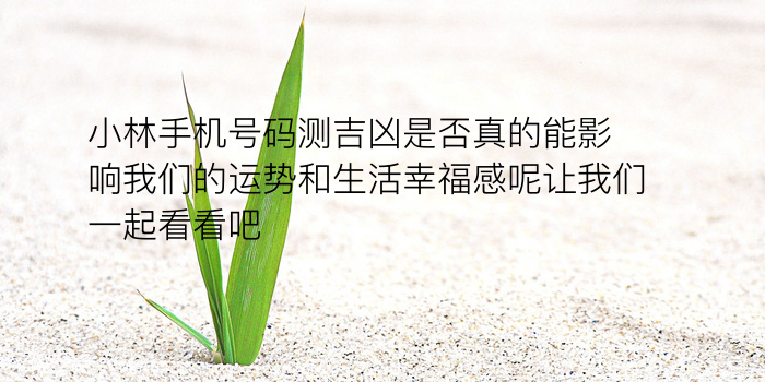 姓名配对佛滔游戏截图