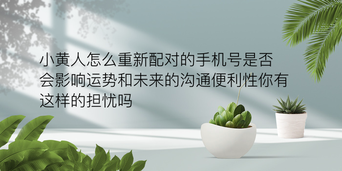 生肖配对准吗游戏截图