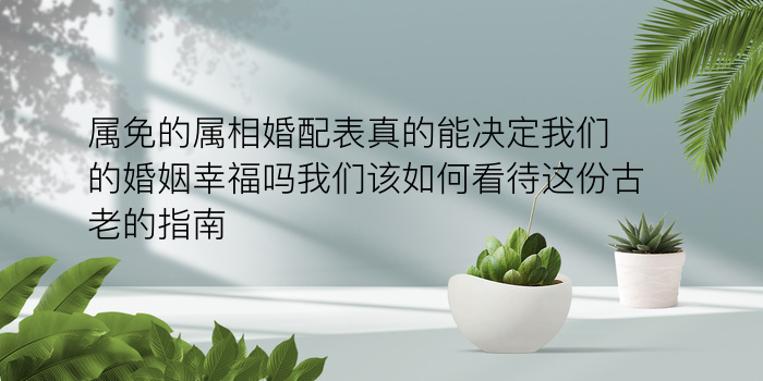 八字感情算命游戏截图