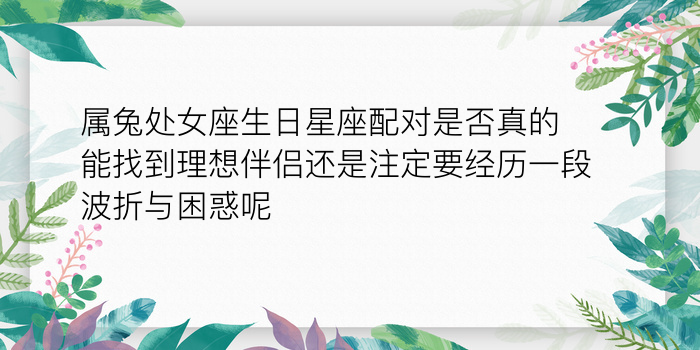 射手座男最佳配对星座游戏截图