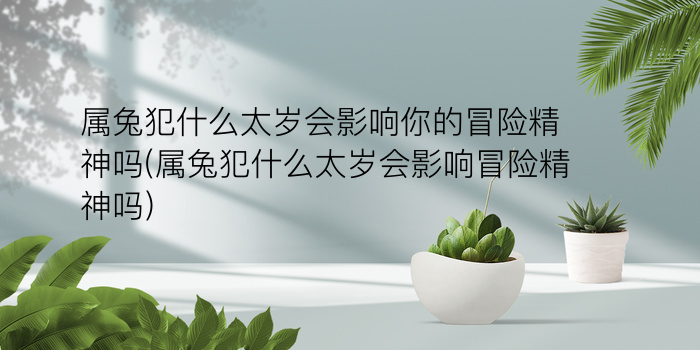 马年犯太岁的生肖游戏截图