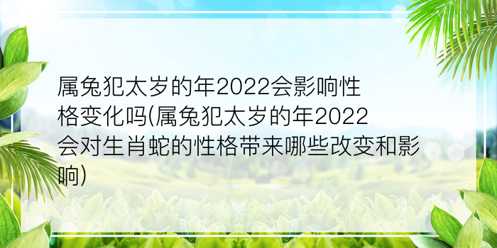 紫砂本命佛游戏截图