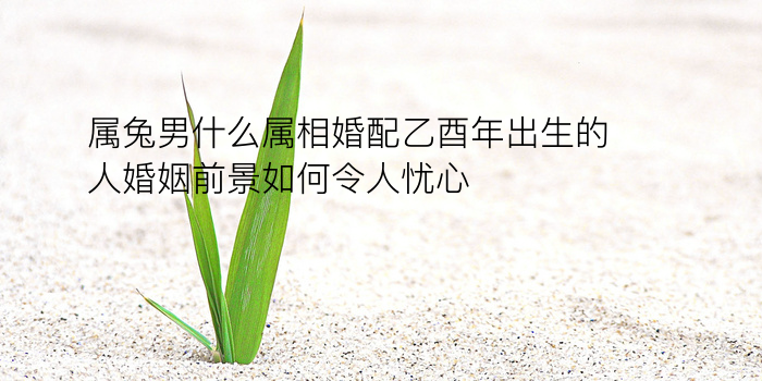 用生辰八字免费起名游戏截图