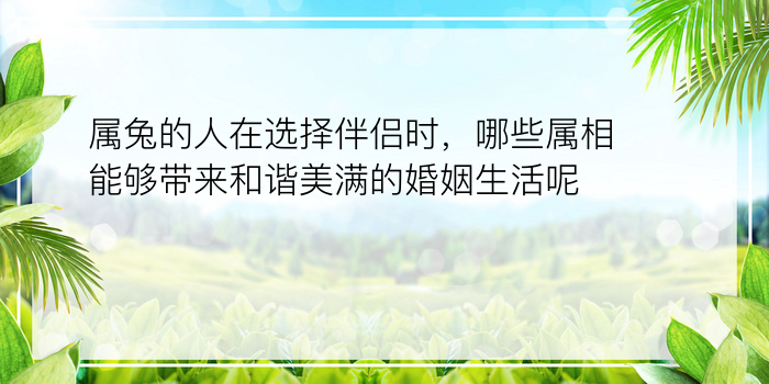 属兔的人在选择伴侣时，哪些属相能够带来和谐美满的婚姻生活呢