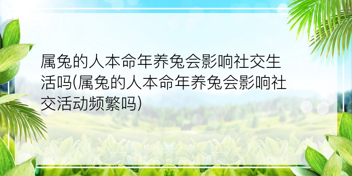 属兔的人本命年养兔会影响社交生活吗(属兔的人本命年养兔会影响社交活动频繁吗)