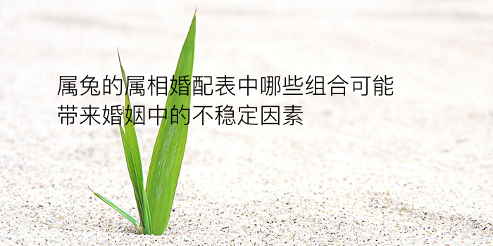 星座爱情配对游戏截图