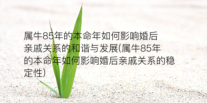 生肖马今年运势游戏截图