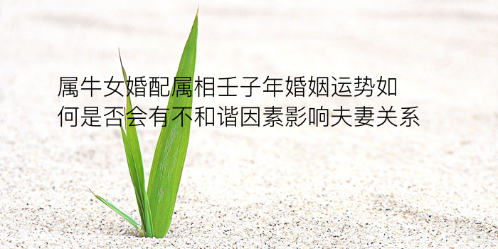 八字今日运程游戏截图