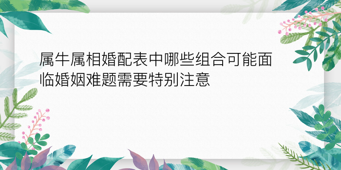 属牛属相婚配表中哪些组合可能面临婚姻难题需要特别注意