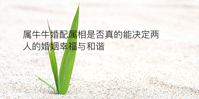 八字算命方法游戏截图