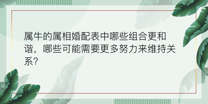 车牌照吉凶测试游戏截图