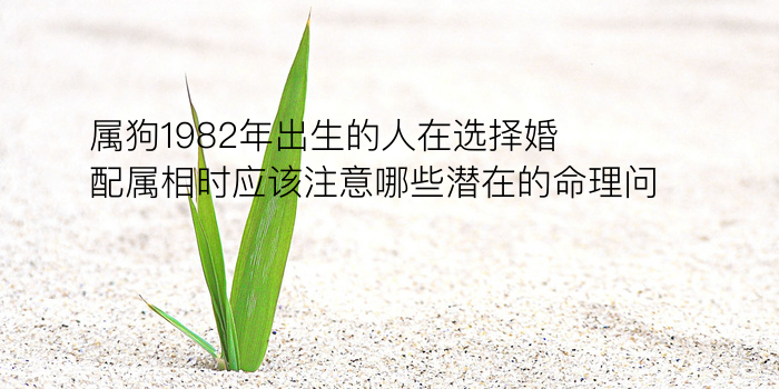 车牌号吉凶测试游戏截图