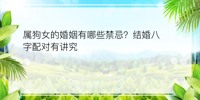 属狗女的婚姻有哪些禁忌？结婚八字配对有讲究