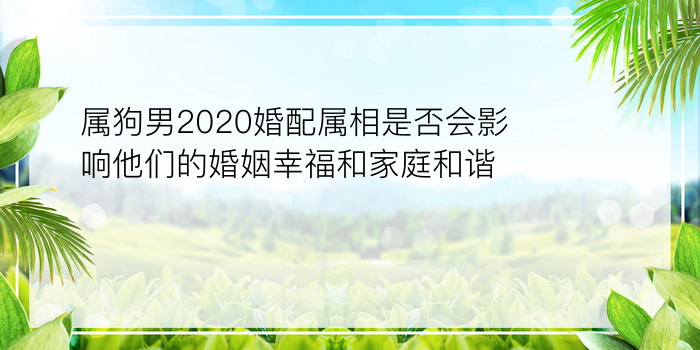 天秤匹配星座配对游戏截图