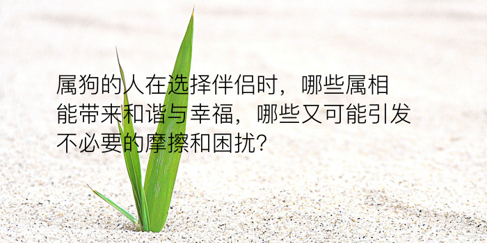 车牌号码测试吉凶游戏截图