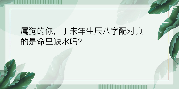 易奇八字运程车详解游戏截图