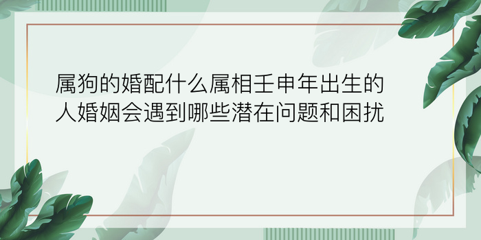 属狗的婚配什么属相壬申年出生的人婚姻会遇到哪些潜在问题和困扰