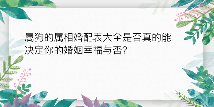 属狗的属相婚配表大全是否真的能决定你的婚姻幸福与否？