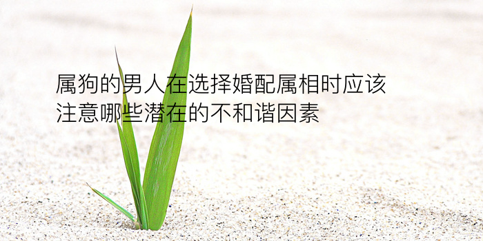 用生辰八字算命游戏截图