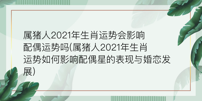 二零二算运网