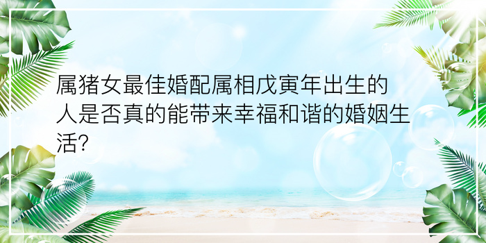 属猪女最佳婚配属相戊寅年出生的人是否真的能带来幸福和谐的婚姻生活？