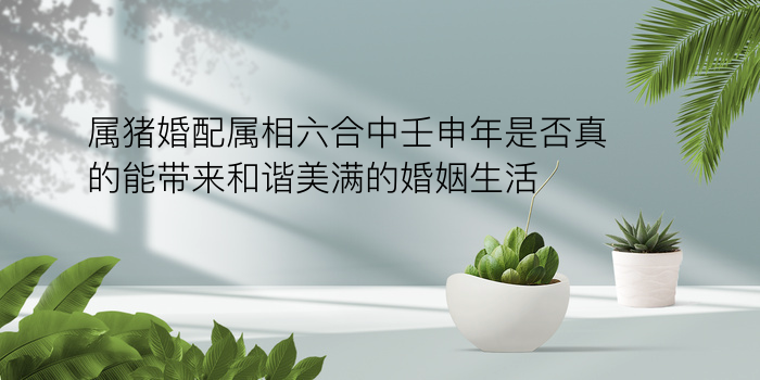 生日八字配对游戏截图