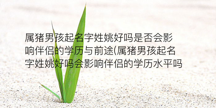 周易卦象取名游戏截图