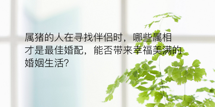 属猪的人在寻找伴侣时，哪些属相才是最佳婚配，能否带来幸福美满的婚姻生活？