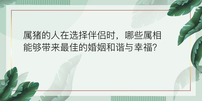 属猪的人在选择伴侣时，哪些属相能够带来最佳的婚姻和谐与幸福？