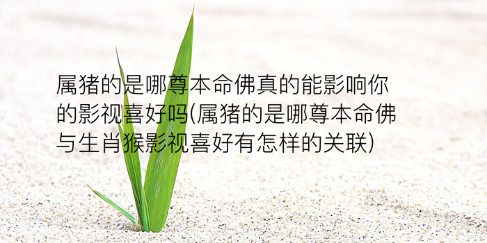 算命先生属什么生肖游戏截图