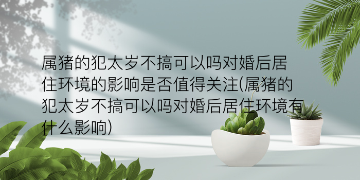 今年哪几个生肖犯太岁游戏截图