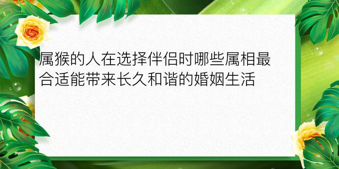 属相猴婚配游戏截图