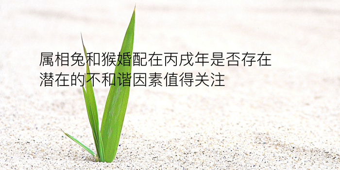 测八字起名游戏截图