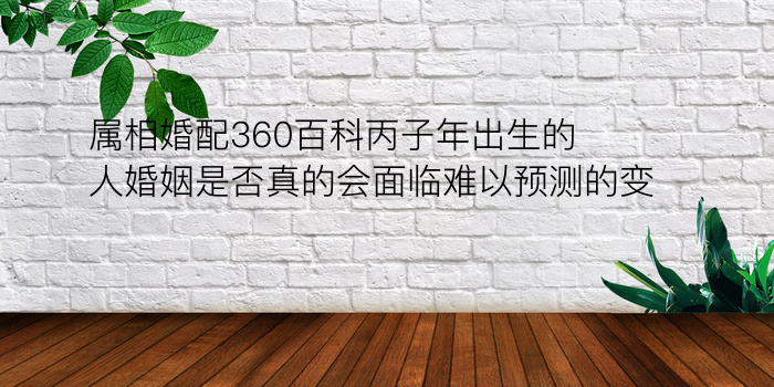 属相婚配360百科丙子年出生的人婚姻是否真的会面临难以预测的变数