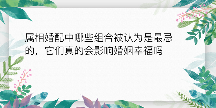 属相婚配中哪些组合被认为是最忌的，它们真的会影响婚姻幸福吗