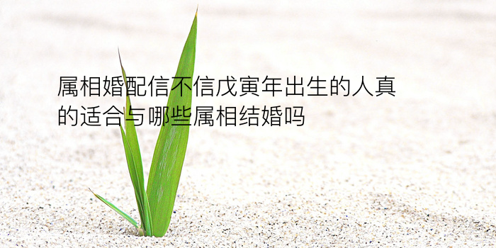 八字起名评分游戏截图