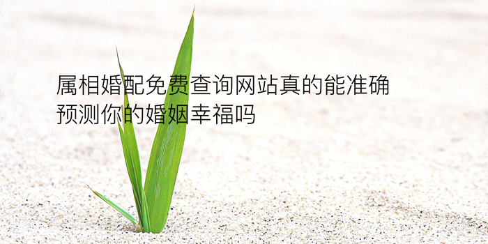 姓名生日姻缘测试配对游戏截图