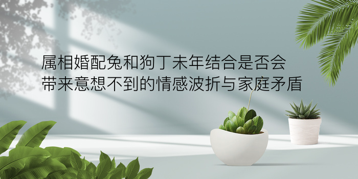 属龙的属相婚配表游戏截图