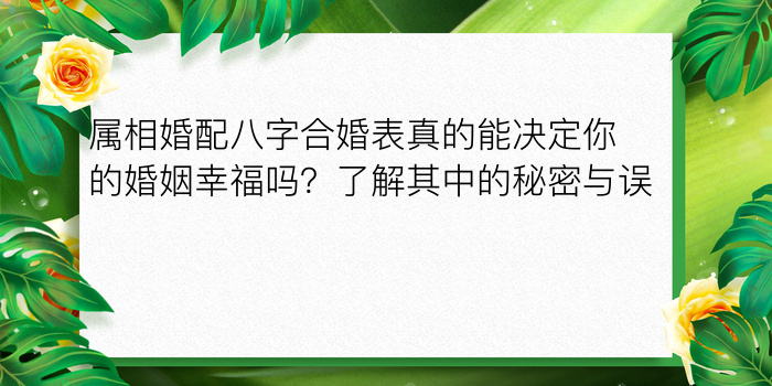 爱情手机号配对游戏截图