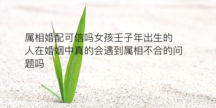 生肖八字运程游戏截图