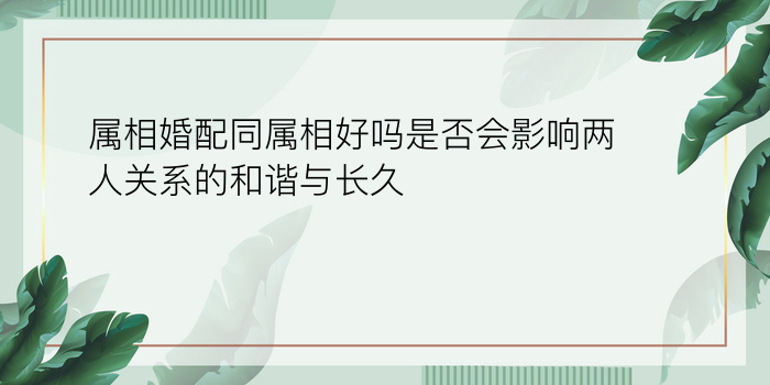 属相婚配同属相好吗是否会影响两人关系的和谐与长久