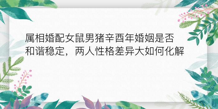 属相婚配女鼠男猪辛酉年婚姻是否和谐稳定，两人性格差异大如何化解？