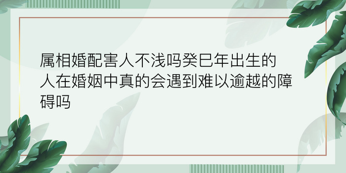 属相婚配害人不浅吗癸巳年出生的人在婚姻中真的会遇到难以逾越的障碍吗