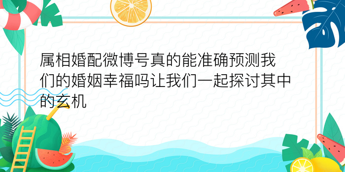 属相婚配微博号真的能准确预测我们的婚姻幸福吗让我们一起探讨其中的玄机