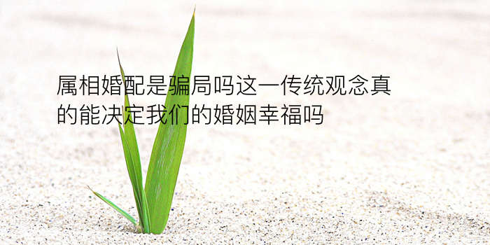 生辰八字配对姻缘免费游戏截图