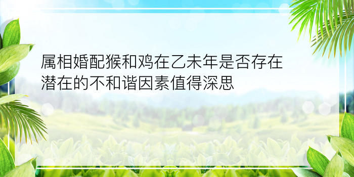 属相婚配猴和鸡在乙未年是否存在潜在的不和谐因素值得深思